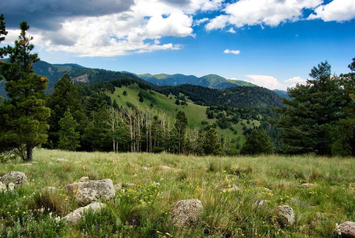 Country Cabin, 2 Bedrooms, Fireplace, Midtown, Sleeps 6 Ruidoso Bagian luar foto